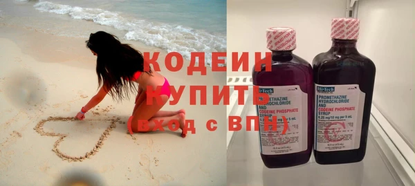 прущий лед Вяземский