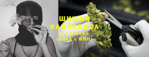 молекула духа Вязники